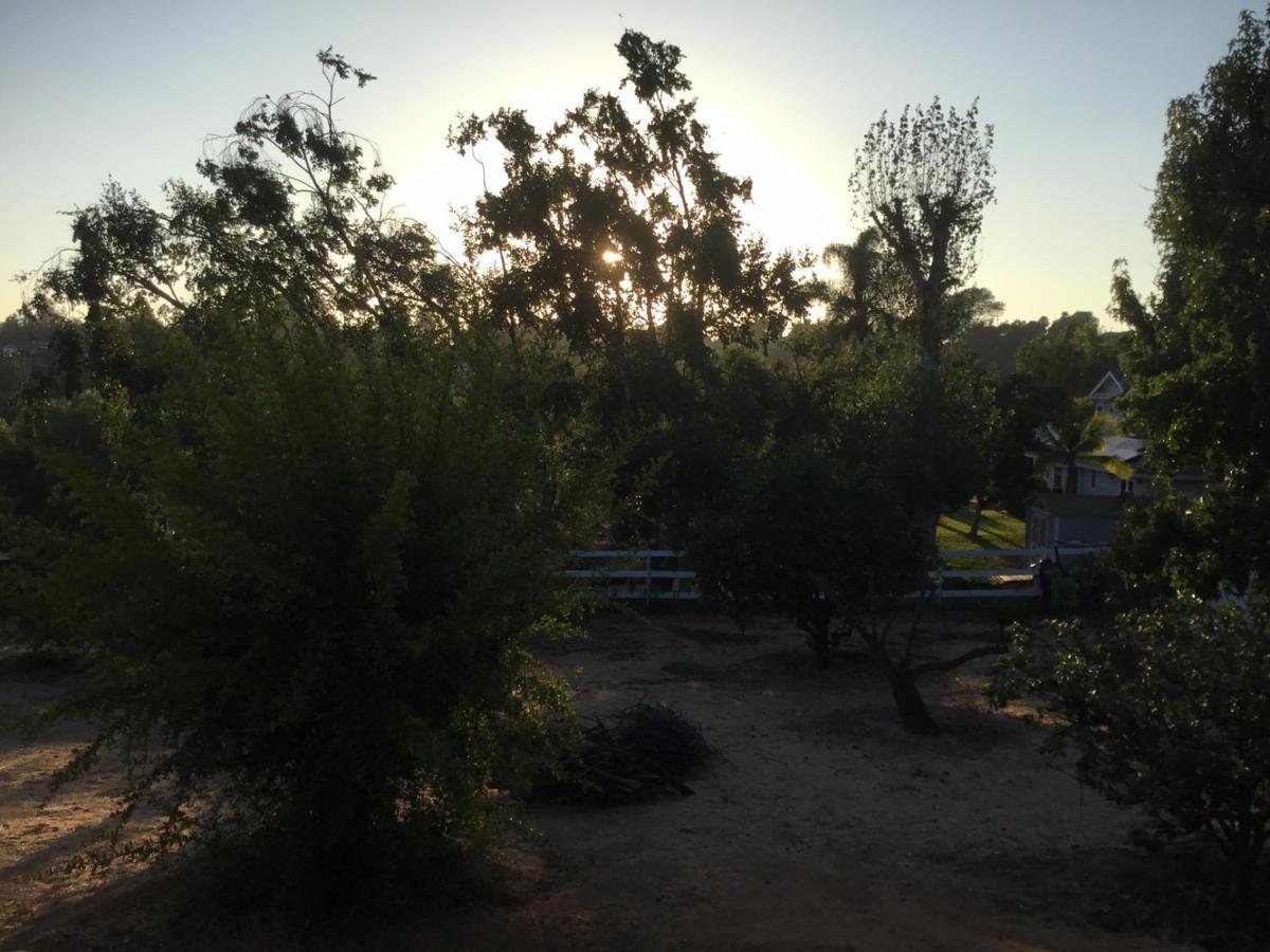 Beautiful New Detached Casita Nestled In Scenic Southern Ca Foothills! Fallbrook Eksteriør billede