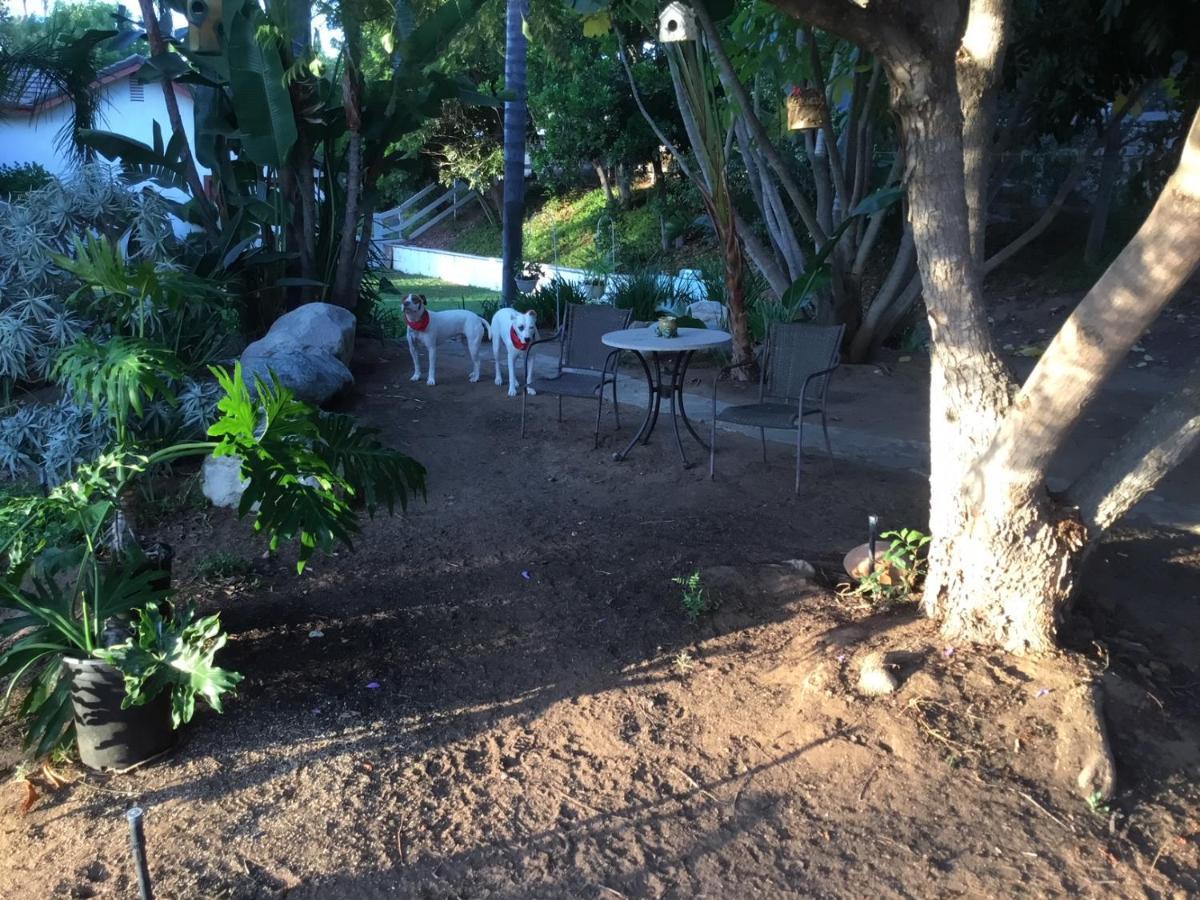 Beautiful New Detached Casita Nestled In Scenic Southern Ca Foothills! Fallbrook Eksteriør billede