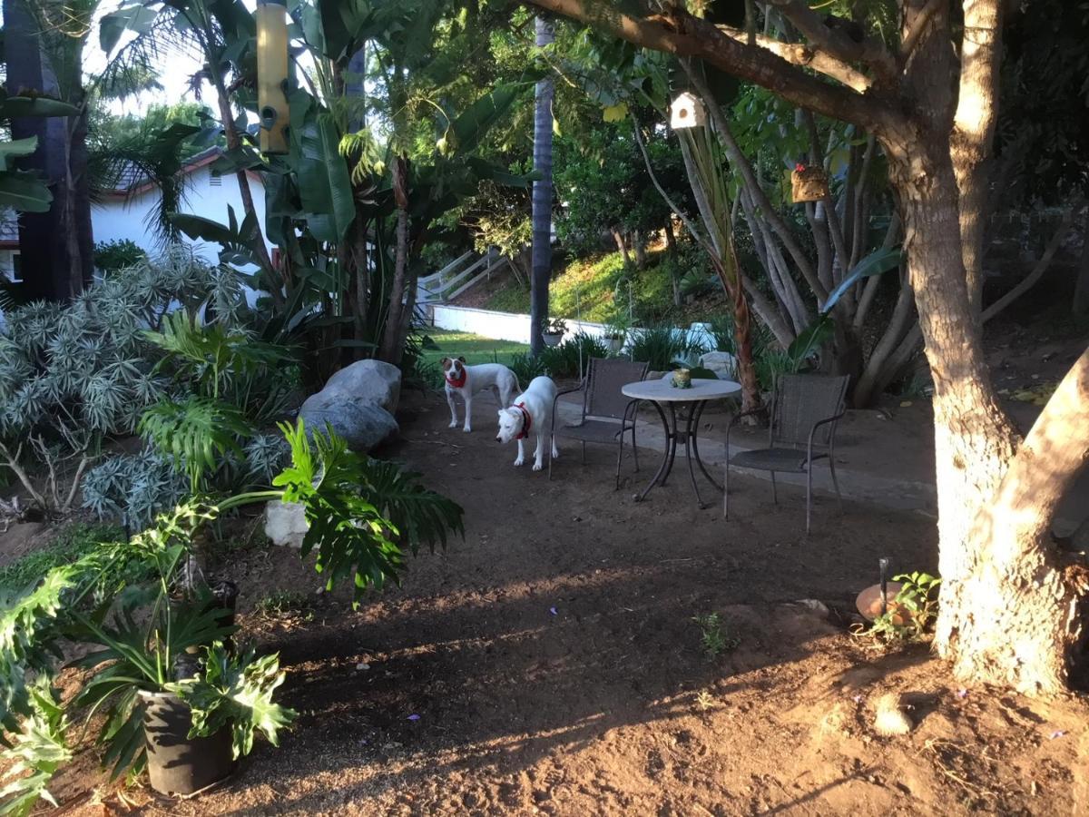 Beautiful New Detached Casita Nestled In Scenic Southern Ca Foothills! Fallbrook Eksteriør billede
